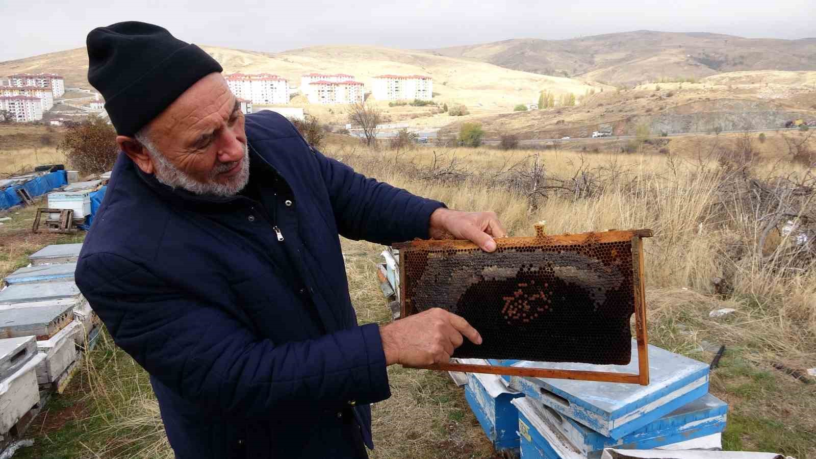 Yozgat’ta varroa hastalığı 15 bin kovana zarar verdi