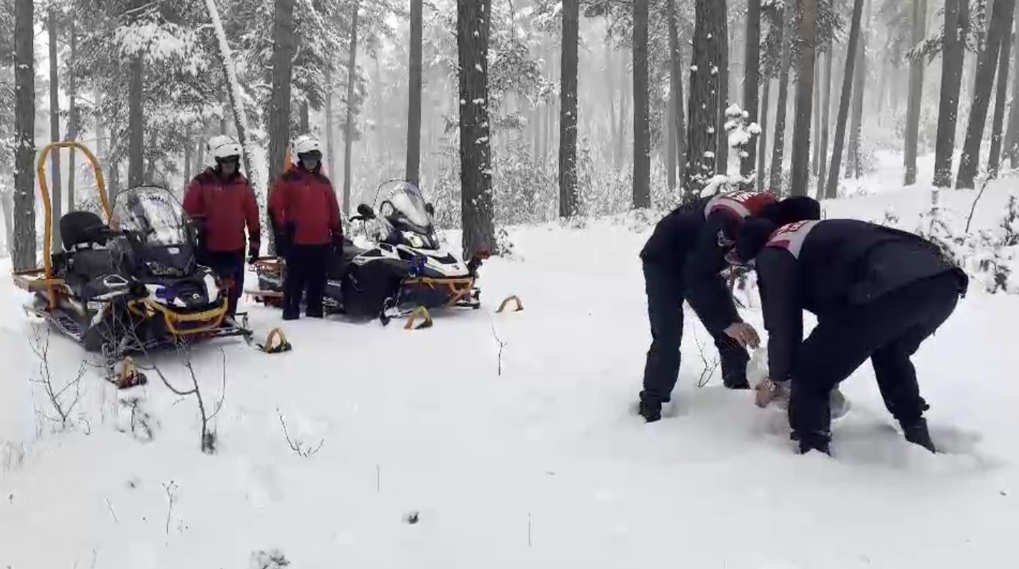 Kars’ta jandarma yaban hayvanlarına yiyecek bıraktı