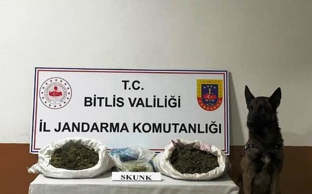 Bitlis’te 10 kilo 200 gram skunk maddesi ele geçirildi