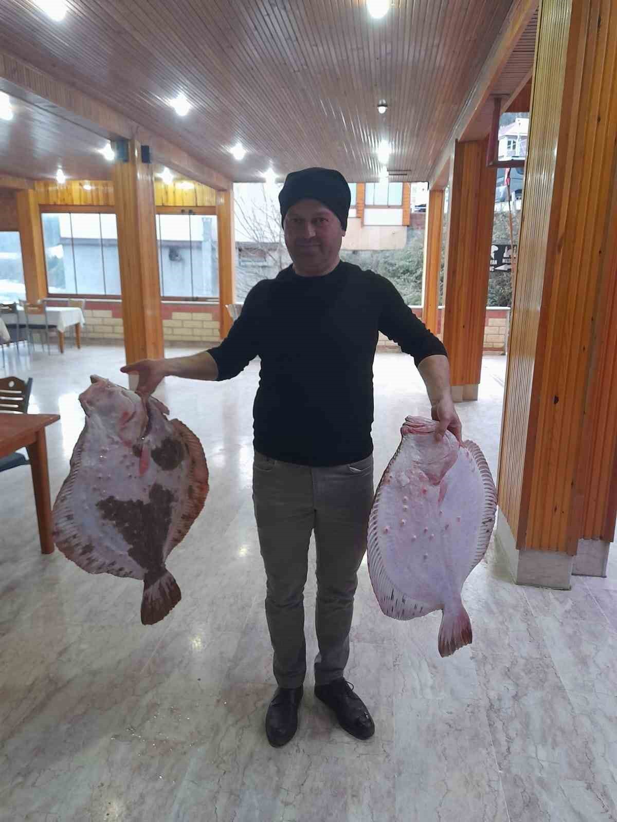 Türkeli’de 10 kilogramlık kalkan balığı yakalandı