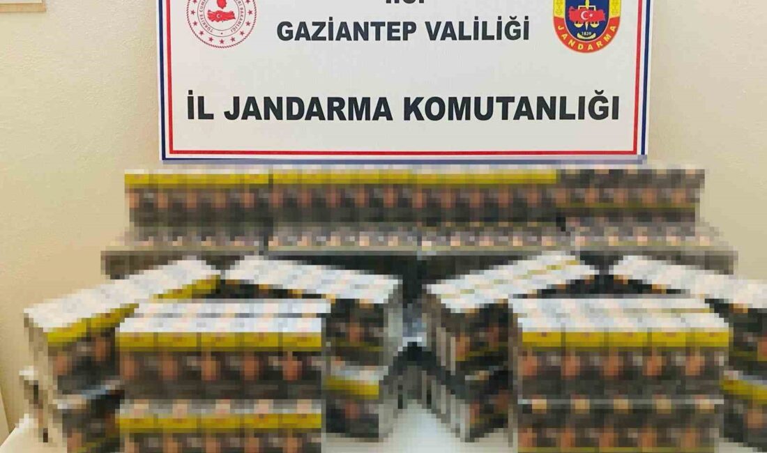 GAZİANTEP'TE JANDARMA EKİPLERİNCE YAPILAN