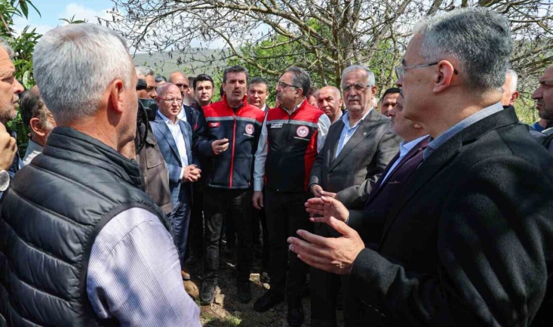 Ak Parti İl Başkanı Davut Gürkan, don mağduru çiftçinin yanında Ak Parti Bursa İl Başkanı Davut Gürkan, Kestel ve Gürsu