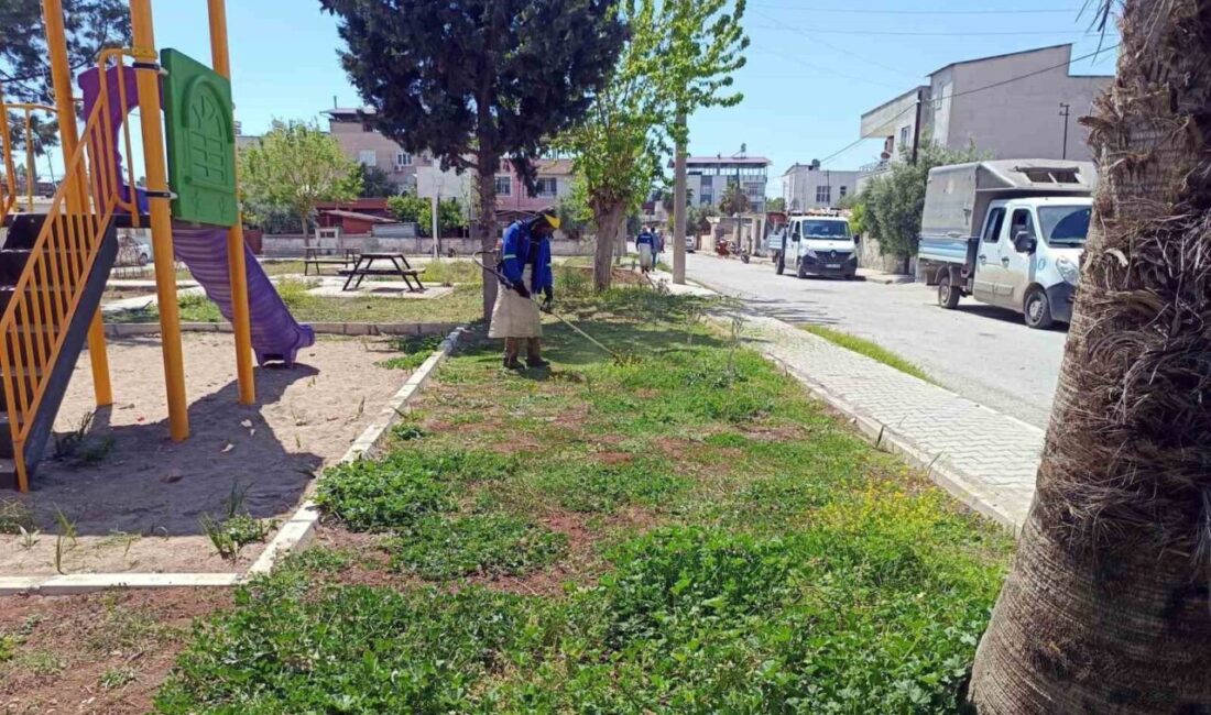 Akdeniz’in yeşil dokusu koruma altında Mersin’in merkez Akdeniz ilçesinde yeşil alanlar budanıp temizleniyor, eksiği olan