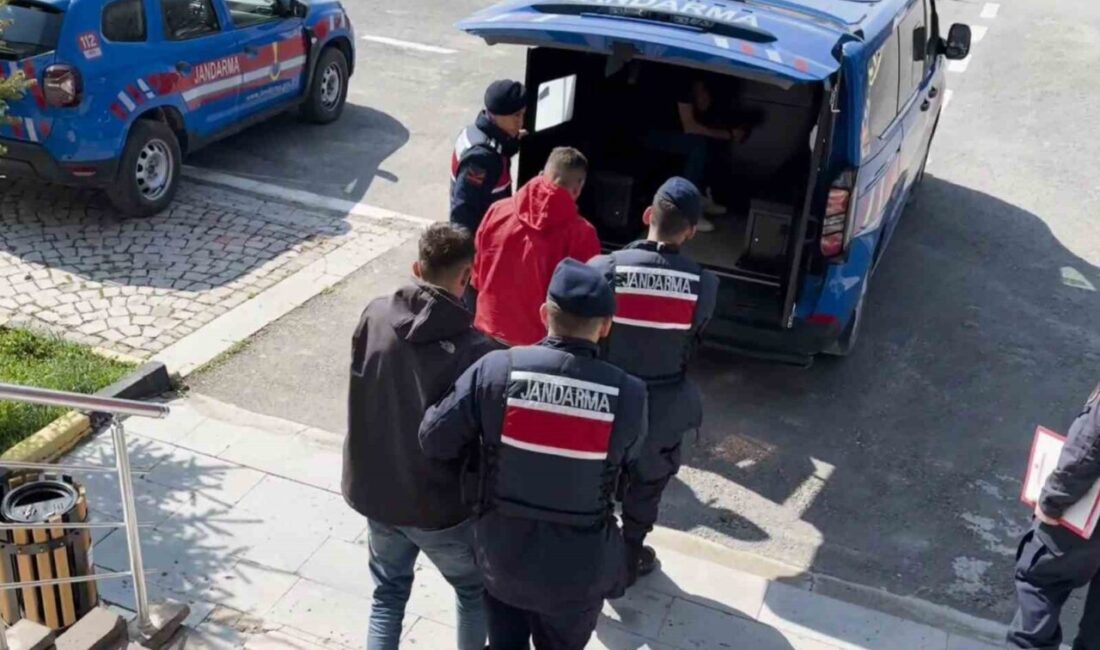 Aksaray’da küçükbaş hayvan hırsızlığına 1 tutuklama Aksaray’da 2 küçükbaş hayvanı çaldıkları ileri sürülen 2 şüpheliden 1’i