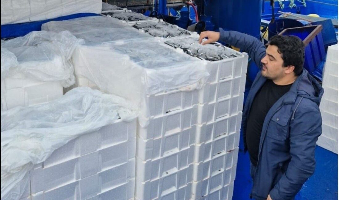 Balık sezonunda İnebolu’dan 2 milyon 965 bin ton balık karaya çıkartıldı Kastamonu’nun İnebolu ilçesinde 1 4ylül 2024-17 Nisan 2025 tarihleri arasındaki