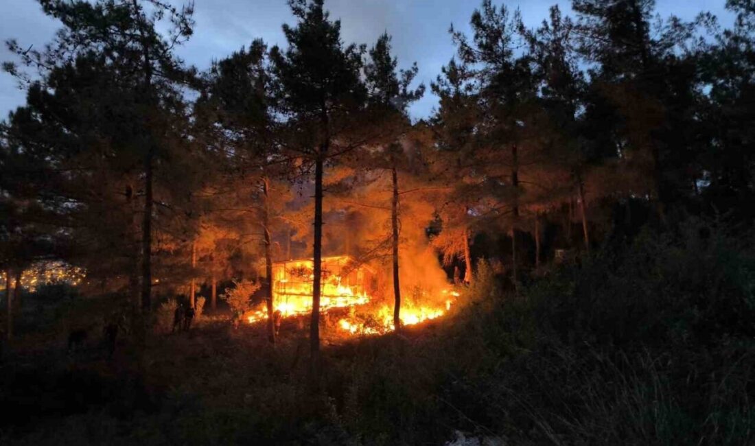 Barakadan yükselen alevler ormana sıçramadan Hatay’da alevlere teslim olan barakadaki yangın ormana sıçramadan söndürüldü. Yangın,