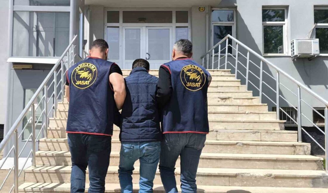 Bingöl’de kesinleşmiş hapis cezası bulunan zanlı yakalandı Bingöl’de jandarma ekiplerinin yaptığı çalışmada 1 yıl 8 ay kesinleşmiş