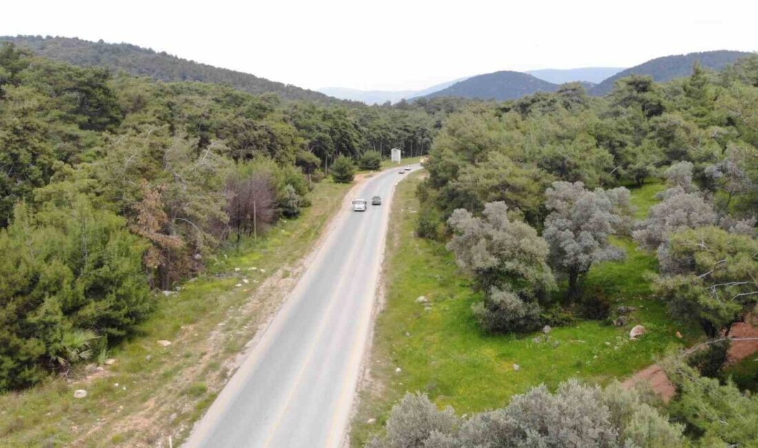 Bodrum’da dronlu trafik operasyonu: “Sürücüye ceza yağdı” Bodrum İlçe Jandarma Komutanlığı’na bağlı trafik ve asayiş ekipleri, “Hatalı