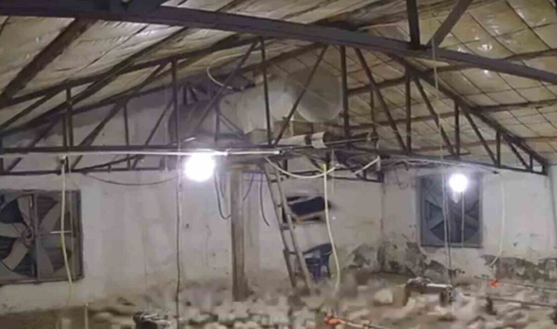 Bolu’da kümese girmeye çalışan ayı kamerada Bolu’da bir köyde aç kalan bir ayı tavuk kümesine girmeye