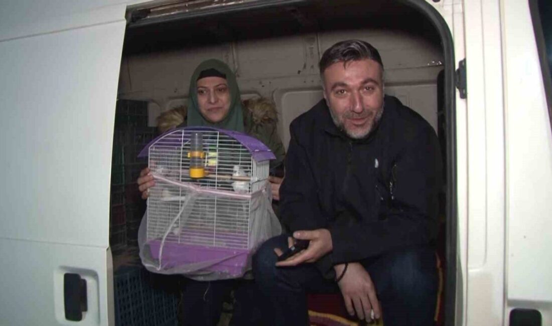 Depremin ardından kimisi çadırda, kimisi kamyonet kasasında geceyi geçiriyor İstanbul’da 6.2’lik depremin ardından Pendik’te bazı vatandaşlar parklarda kurdukları çadırlarda,