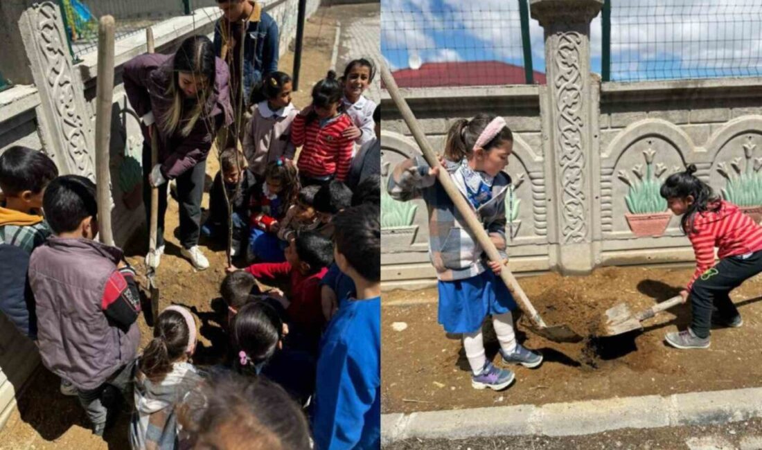 Diyadin’de minik ellerden büyük katkı Ağrı’nın Diyadin ilçesinde bulunan Mehmet Melik Özmen İlkokulu öğrencileri, öğretmenleriyle
