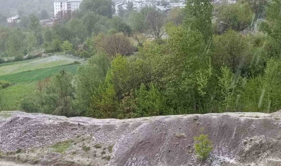 Elazığ’da dolu yağışı etkili oldu Elazığ’ın Arıcak ilçesinde misket büyüklüğünde dolu yağdı. Elazığ merkez ve