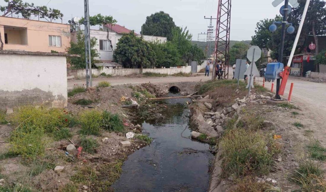 Elektrik akımına kapılan anne-kız hayatını kaybetti Osmaniye’de elini yıkadığı sulama kanalında elektrik akımına kapılan kız çocuğu