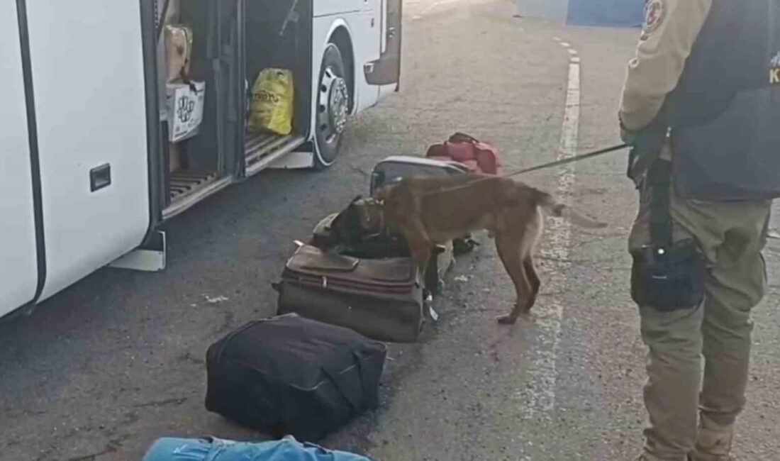 Erzurum’da narko operasyon Erzurum Emniyet Müdürlüğü Narkotik Suçlarla Mücadele Şube Müdürlüğü ekiplerine yapılan