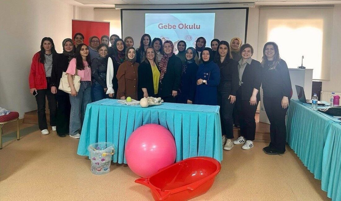 Gebe okullarında görevli sağlık çalışanlarına “Doğuma Hazırlık Eğitimi” düzenlendi Erzincan İl Sağlık Müdürlüğü Halk Sağlığı Hizmetleri ÇEKÜS birimi tarafından