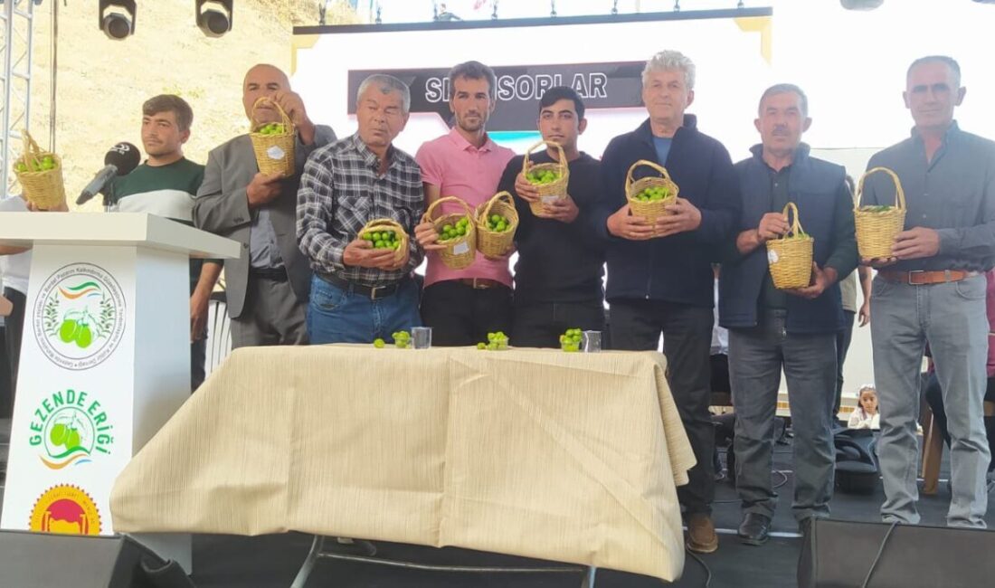 Gezende Erik Festivali’nin 15’incisi gerçekleştirildi Mersin’in Gülnar ilçesinde Gezende Erik Festivali’nin 15’incisi coşkuyla gerçekleştirildi. Gezende