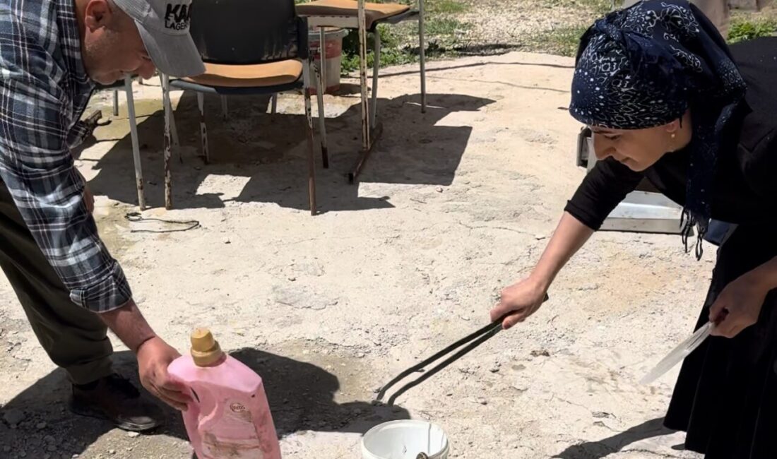 Hakkarili aile iki yıldır yılanlarla yaşıyor Hakkari’nin Yüksekova ilçesinde yaşayan Aka ailesi, her yıl bahar ayında