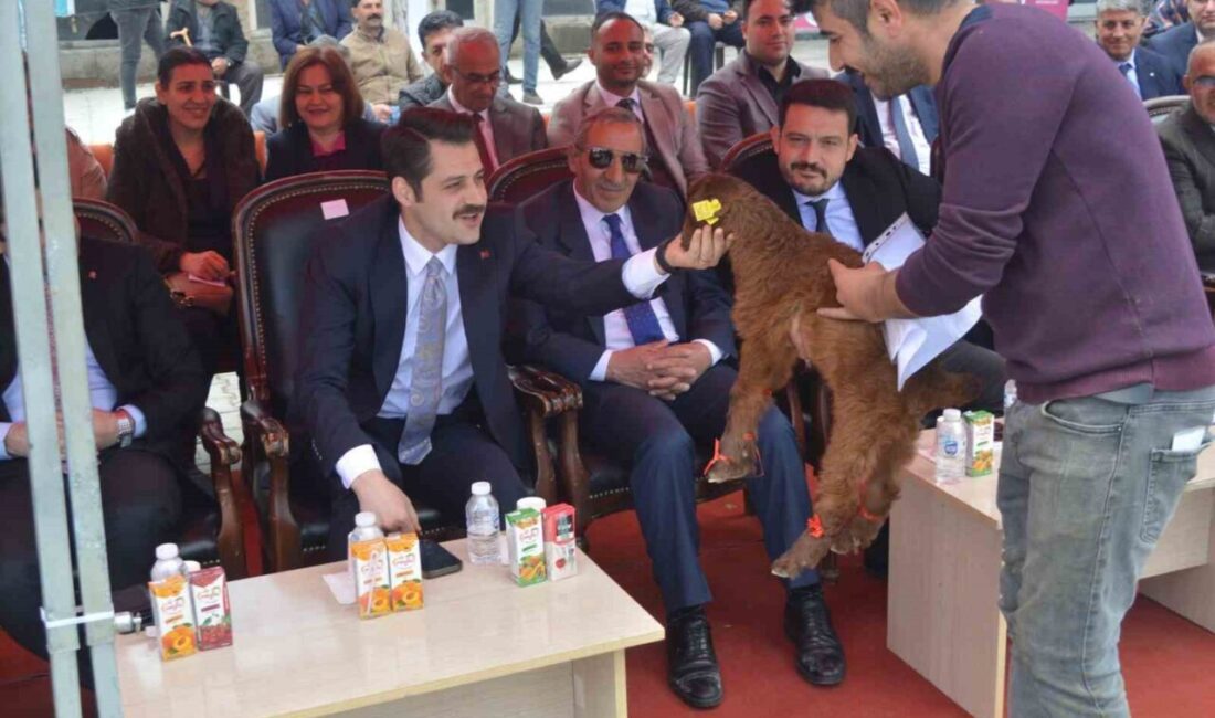 Iğdır’da güzellik yarışması düzenlendi Tuzluca İlçe Tarım ve Orman Müdürlüğü tarafından bu yıl 6’ncısı