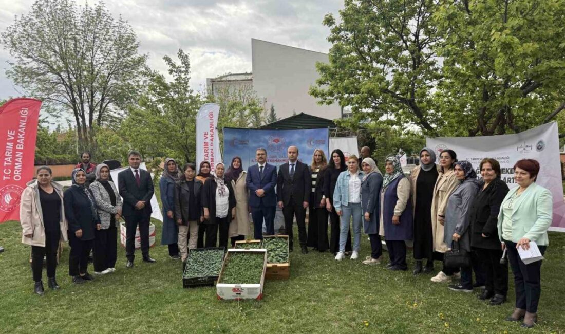 Iğdır’da kadın çiftçilere fide dağıtımı yapıldı Iğdır’da kadın çiftçilere “Toprağın Bereketi Kadının Gücüyle Artıyor” projesi kapsamında