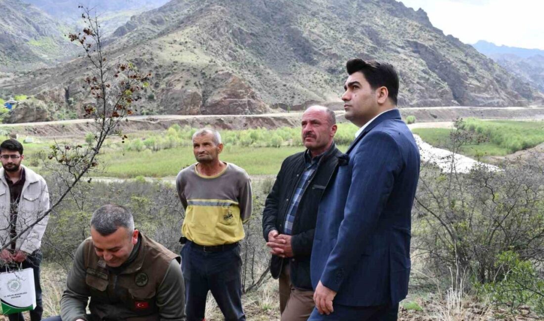 Kaçak avcılığa karşı fotokapanlı önlem Erzurum’un Olur ilçesine bağlı Ormanağzı Mahallesi’nde, kaçak avcılığın önüne geçmek
