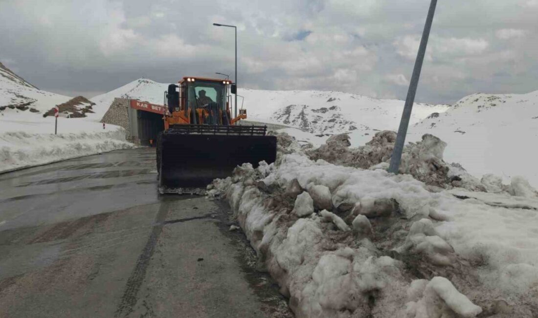 Kar kaplanları Nisan ayında da görevinin başında Turuncu kar kaplanlarının Van-Bahçesaray karayolu üzerinde bulunan 3 bin rakımlı