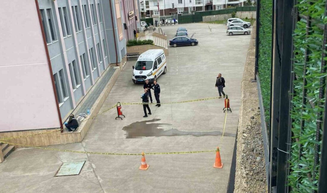 Kocaeli’de okulun 4’üncü katından düşen liseli ağır yaralandı Kocaeli’nin Gölcük ilçesinde bir lisenin 4’üncü katından düşen kız öğrenci
