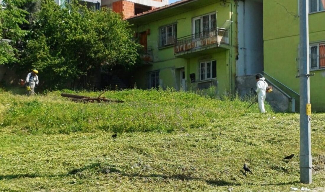 Körfez’de yabani otlarla mücadele sürüyor Körfez’de parklar, bahçeler ve yeşil alanlarda çalışma yapılarak yabani otlar