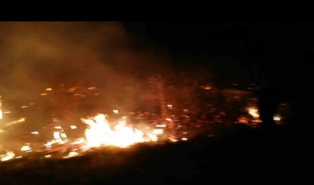 Malatya’da sazlık yangını Malatya’nın Darende ilçesinde sazlık bir alanda çıkan yangın itfaiye tarafından