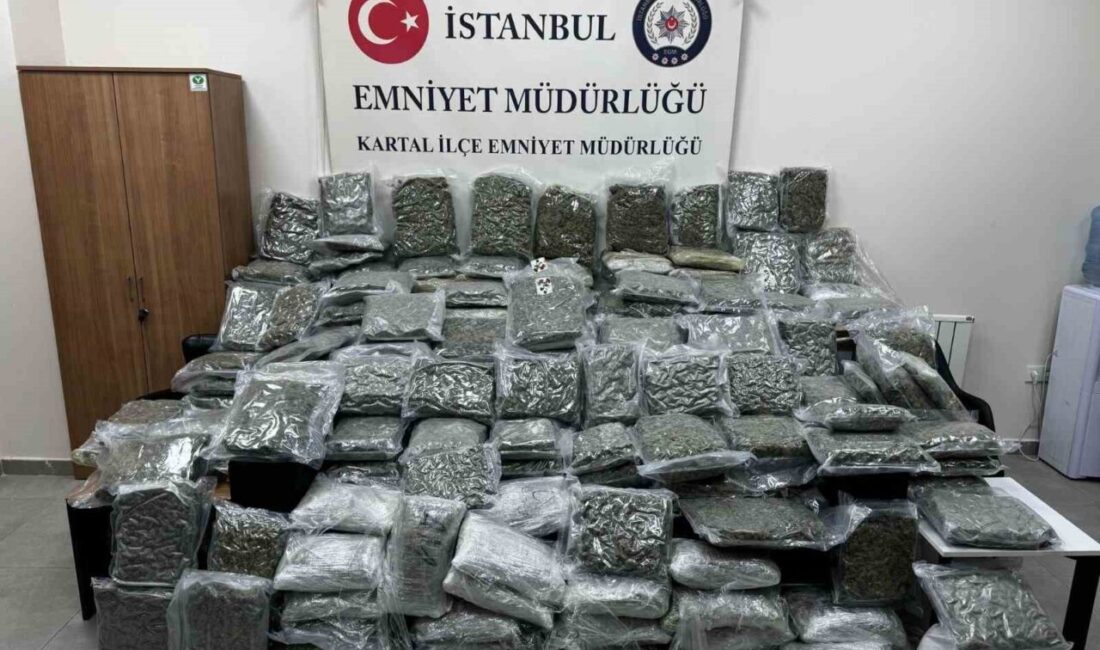 Maltepe’de petshop görünümlü depoda 100 kilo uyuşturucu ele geçirildi İstanbul Maltepe’de petshop görünümü verilen bir iş yerine düzenlenen operasyonda,