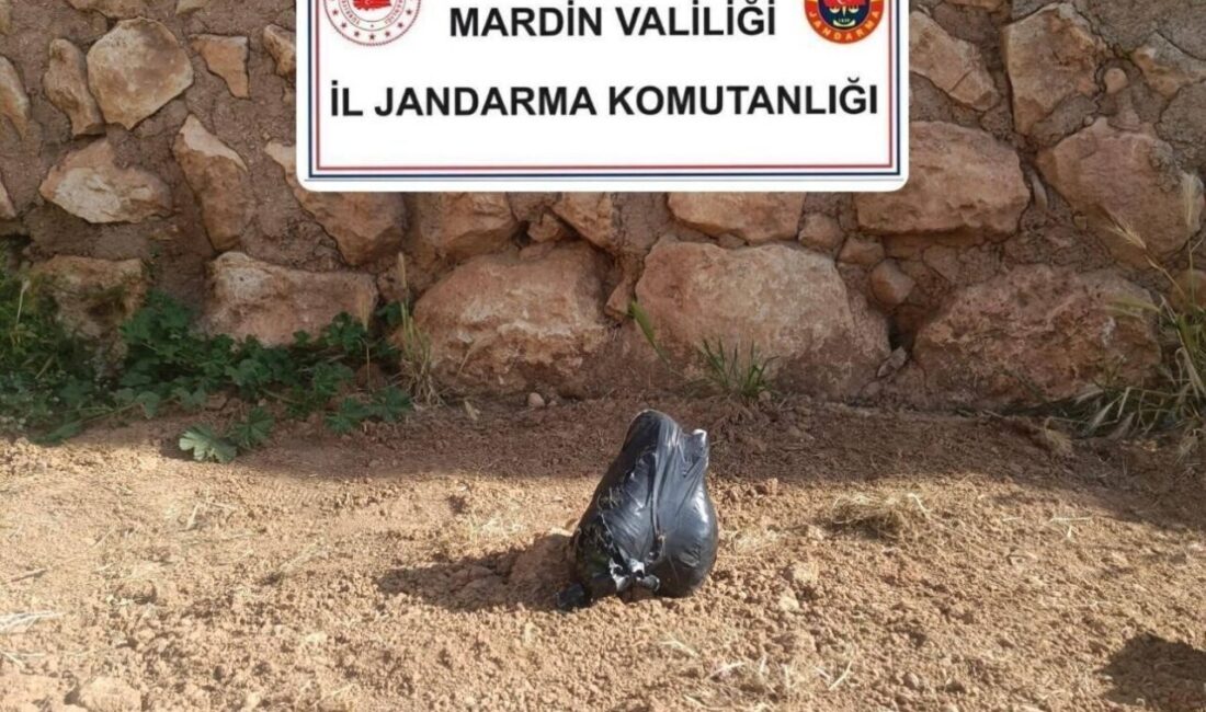 Mardin’de evinde el bombası bulunan şahıs tutuklandı Mardin’de bir şahsın ikametinde yapılan aramada çok sayıda silah ve