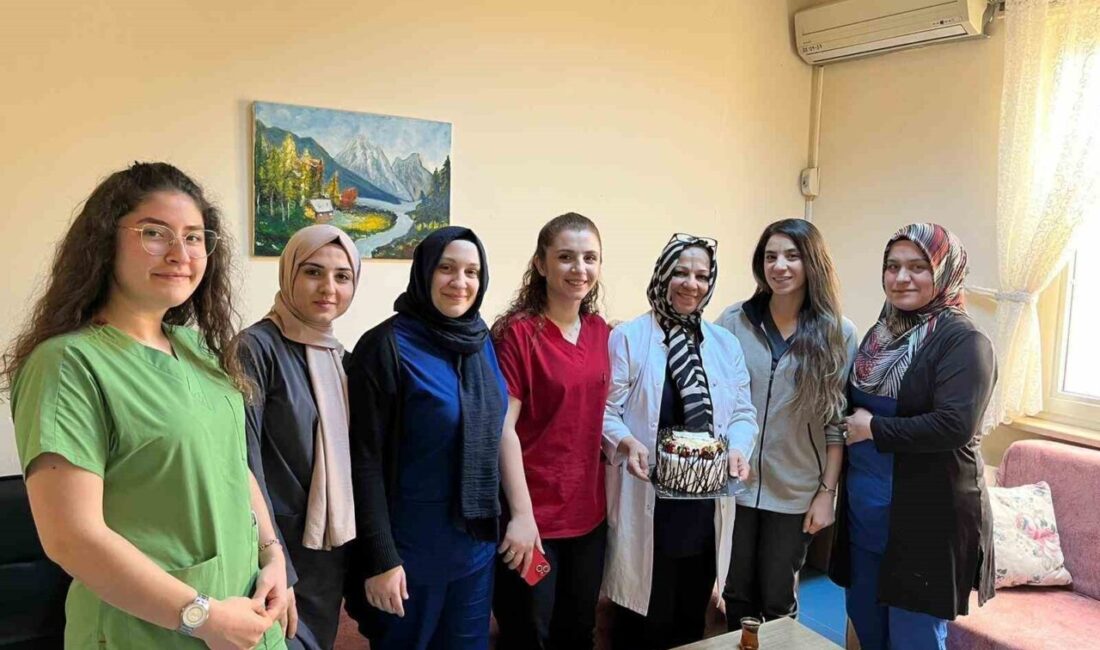 Midyat Devlet Hastanesi, Ebeler Haftası’nda normal doğuma dikkat çekti Mardin’in Midyat Devlet Hastanesi’nde Ebeler Haftası kutlanarak normal doğuma dikkat