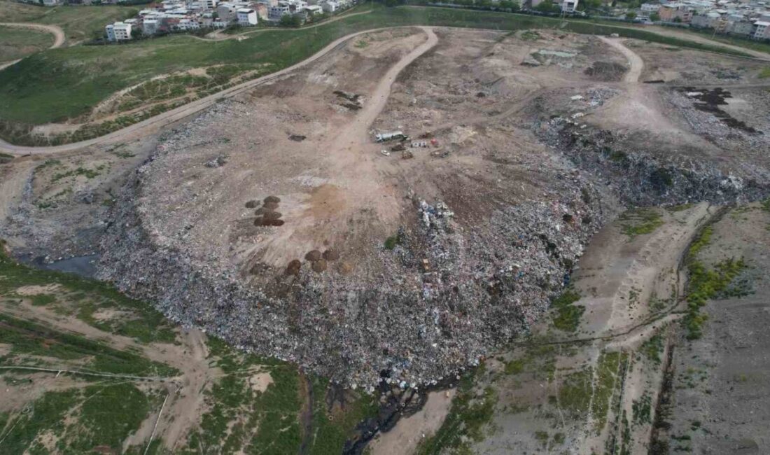 Osmangazi Belediyesi’nin köpek katliamına tepki Bursa’da Osmangazi Belediyesi’ne ait olduğu öne sürülen hayvan barınağından Hamitler