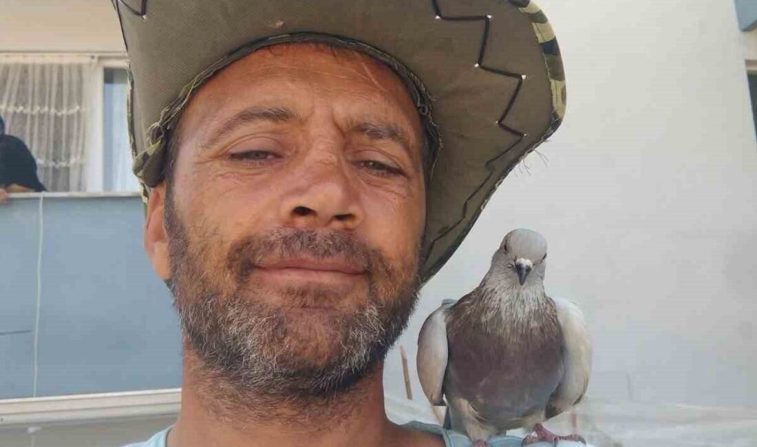 Otomobilin çarptığı engelli birey hayatını kaybetti Düzce’de tekerlekli sandalyesiyle yolun karşısına geçerken otomobilin çarptığı engelli vatandaş
