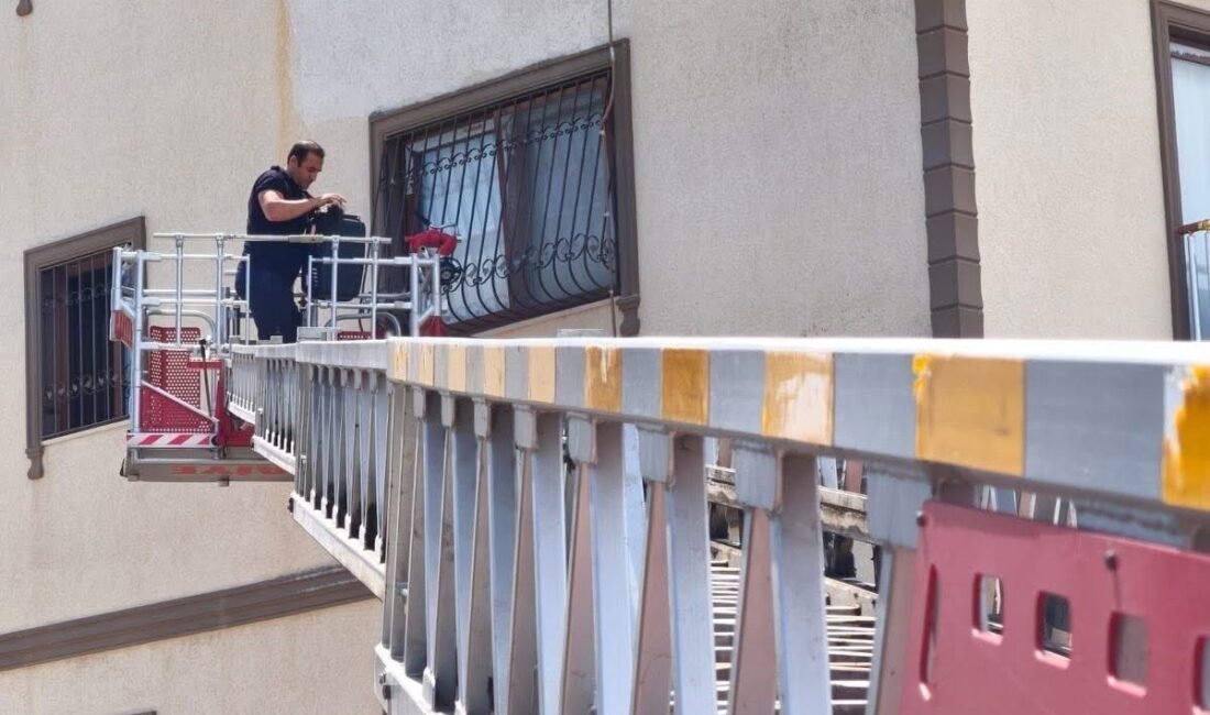 Pencere korkuluklarında mahsur kalan kediyi itfaiye kurtardı Hatay’ın Arsuz ilçesinde bir binanın demir korkuluklarına sıkışarak mahsur kalan