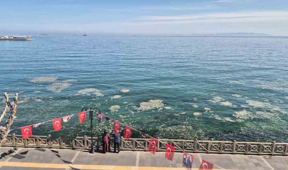 Tekirdağ kıyılarında müsilaj benzeri beyaz tabaka tedirgin etti Marmara Denizi’nin Tekirdağ kıyılarında ortaya çıkan beyaz renkli ve yapışkan