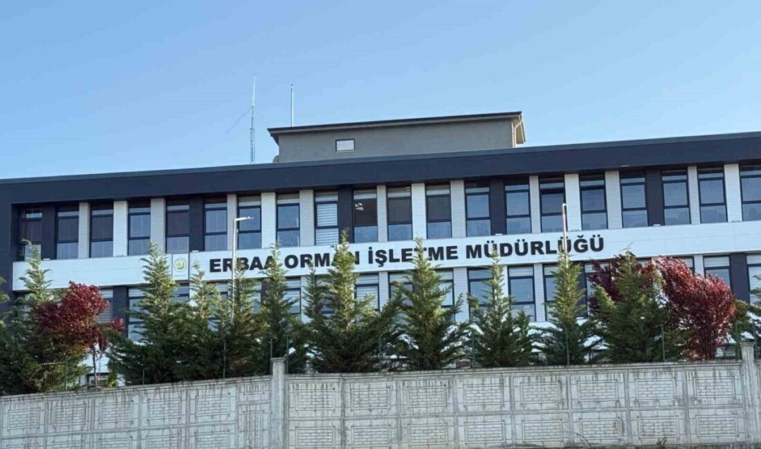 Tokat’ta jandarmadan yolsuzluk operasyonu: 7 gözaltı Tokat’ın Erbaa ilçesinde İl Jandarma Komutanlığı ekipleri tarafından düzenlenen operasyonda,