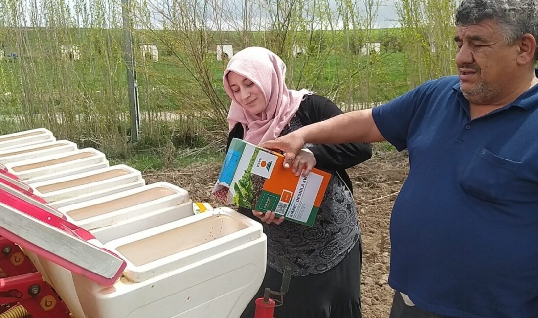 Traktörün direksiyonuna geçen kadın çiftçi, erkeklere taş çıkartıyor Sivas’ta yaşayan ve çiftçilik yapan eşine destek olan Emel Sağırkaya,