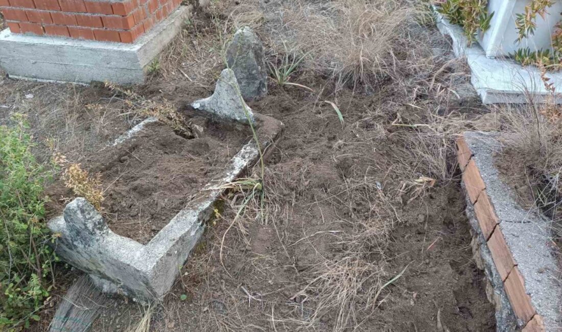 Yaban domuzları mezarlara zarar verdi, mahalleli tel örgü istedi Antalya’nın Serik ilçesinde domuzlar mezarlara zarar verdi. Mahalle sakinleri mezarlığın
