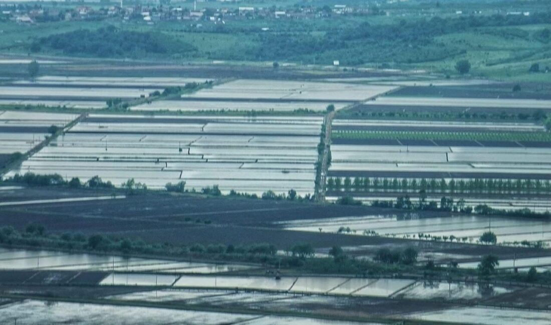 2025 sezonunda çeltik ekimine sınırlama uygulanacak Balıkesir’in Gönen ilçesinde Gönen Çeltik Komisyonu’nun, yaptığı toplantıda 2025 yılı