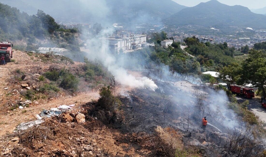 Alanya’da makilik alandaki yangın ormana sıçramadan söndürüldü Antalya’nın Alanya ilçesinde makilik alanda çıkan yangın ormanlık alana sıçramadan