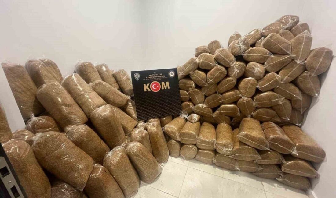 Amasya’da 1 ton 240 kilo kıyılmış tütün ele geçirildi, 1 gözaltı Amasya’da polisin düzenlediği operasyonda piyasa değeri 1.5 milyon TL olan