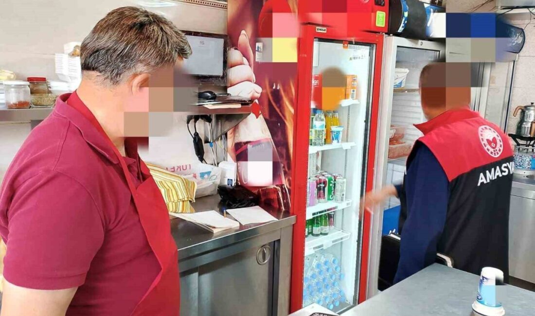 Amasya’da 26 tavuk dönerciye 9,5 milyon TL’den fazla ceza yağdı Amasya’da tavuk döner satışı yapan işletmelere yönelik gerçekleştirilen denetimlerde, tespit