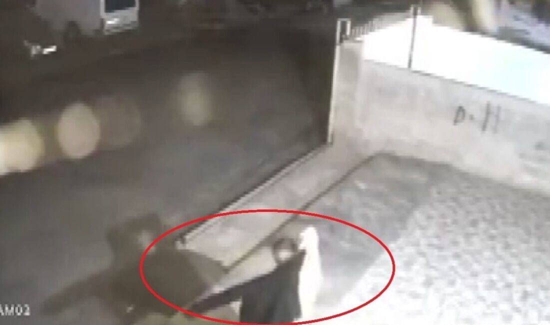 Apartmandaki motosikleti ve balkonda asılı ceketi çalan hırsız yakalandı Hatay’da çaldığı motosikletle gezerken üşüyünce bir balkonda asılı ceketi alarak