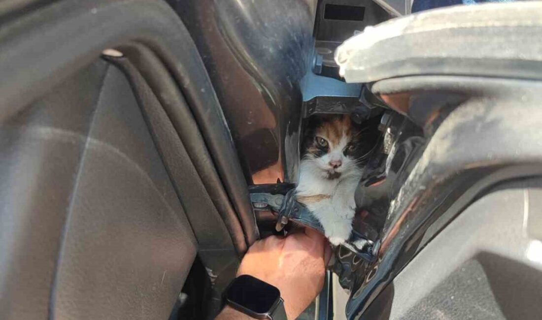 Aracın kapısına sıkışan kediyi itfaiye kurtardı Hatay’da aracın kapısına sıkışan kedi itfaiye ekiplerinin çalışmasıyla kurtarıldı. İskenderun