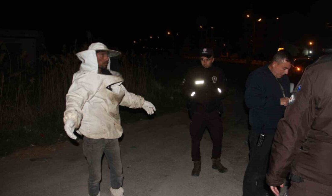 Arı kovanı yüklü kamyonet devrildi, olanlar oldu Konya’nın Beyşehir ilçesinde arı kovanı yüklü kamyonet kavşakta devrildi, savrulan