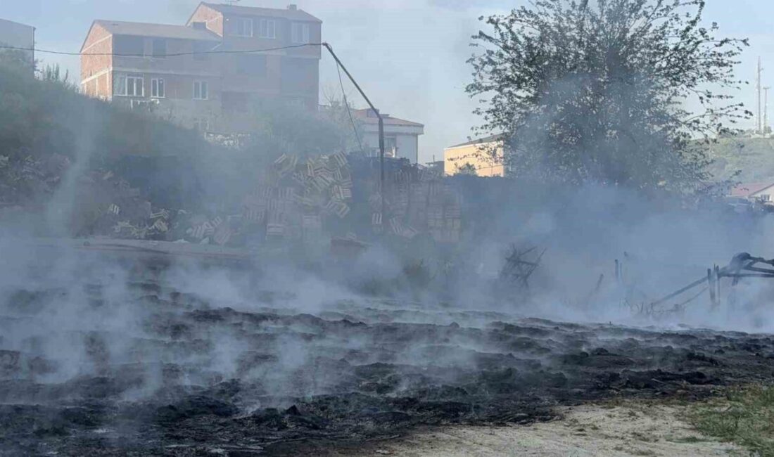 Arnavutköy’de fabrika bahçesinde korkutan yangın İstanbul Arnavutköy’de bir fabrikanın bahçesinde yangın çıktı. Kısa sürede yükselen