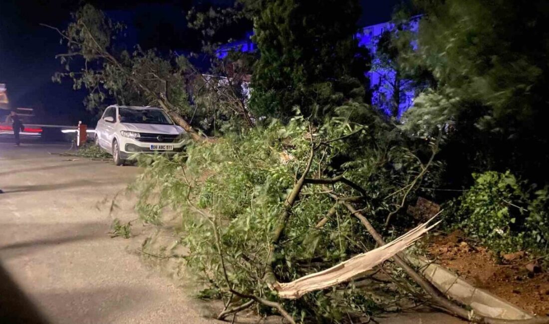 Artvin’de fırtına çatıları uçurdu, ağaçlar devrildi Artvin’in Arhavi, Hopa ve Kemalpaşa ilçelerinde etkili olan fırtına nedeniyle