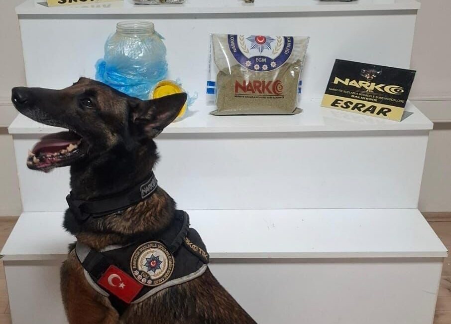 Balıkesir’de uyuşturucu operasyonu Balıkesir’de narkotik ekipleri tarafından yürütülen operasyonda 803 gram toz esrar