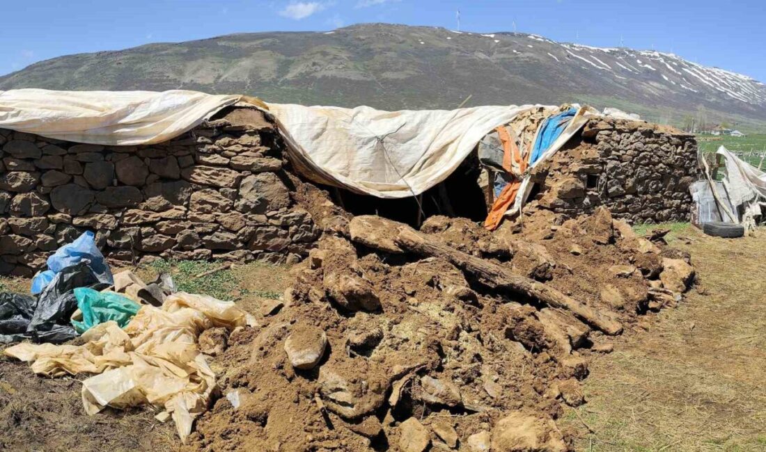 Bingöl’de fırtına ve sağanak nedeniyle ahır çöktü Bingöl’ün Karlıova ilçesinde şiddetli rüzgar ve sağanak nedeniyle ahır çöktü,