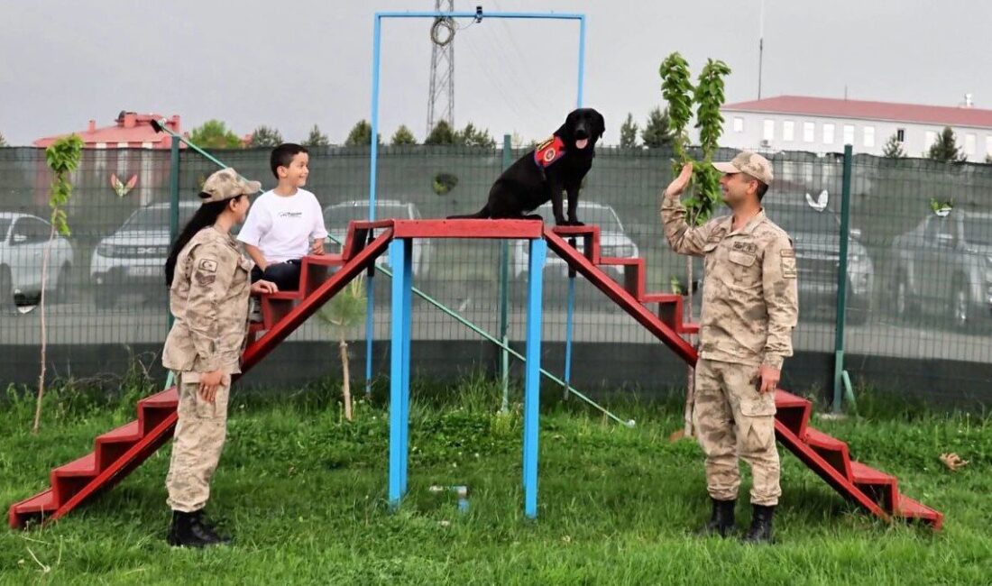 Bingöl’de şehit çocuğu jandarmada unutulmaz bir gün geçirdi Diyarbakır’ın Lice ilçesinde teröristlerle çıkan çatışmada 9 yıl önce şehit